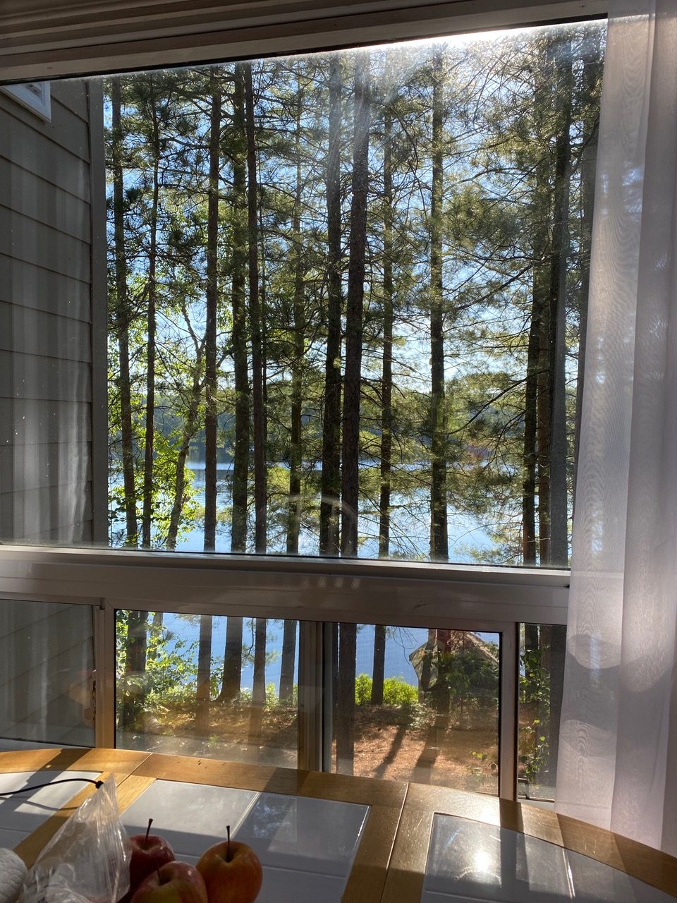 Silver Birches Cottage Rentals Lake St Peter Ontario